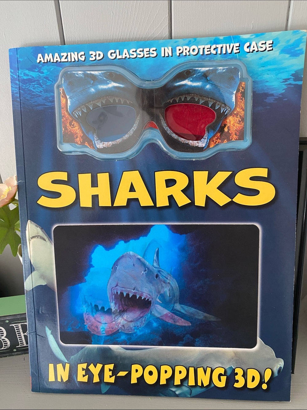 NEW🌈 Scholastic 3D Shark Learning Book